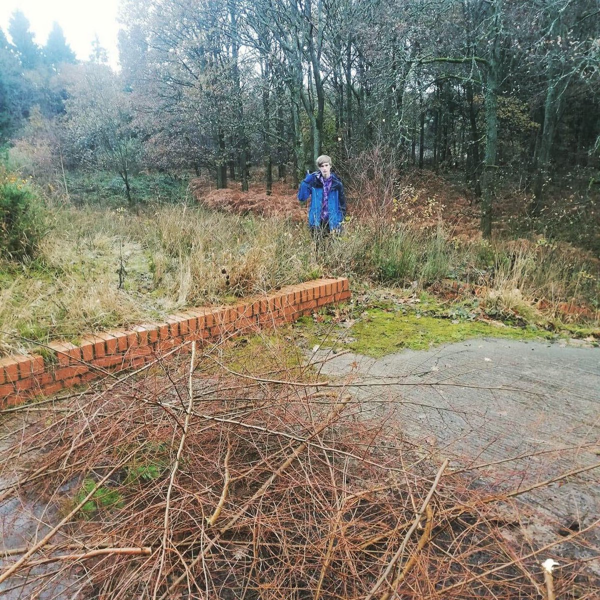GC_OutdoorEd's tweet photo. #volunteering day today for our #outdoored students @Gloscol #cinderfordcampus .. they kept going in the #rain and cold to create a #happy #habitat for #butterflies with @ForestryEngland @ForestofDeanNet @DeanWyeNews @DeanWye @ForestryComm @Forest_of_Dean https://t.co/mIRZ9JFSXn