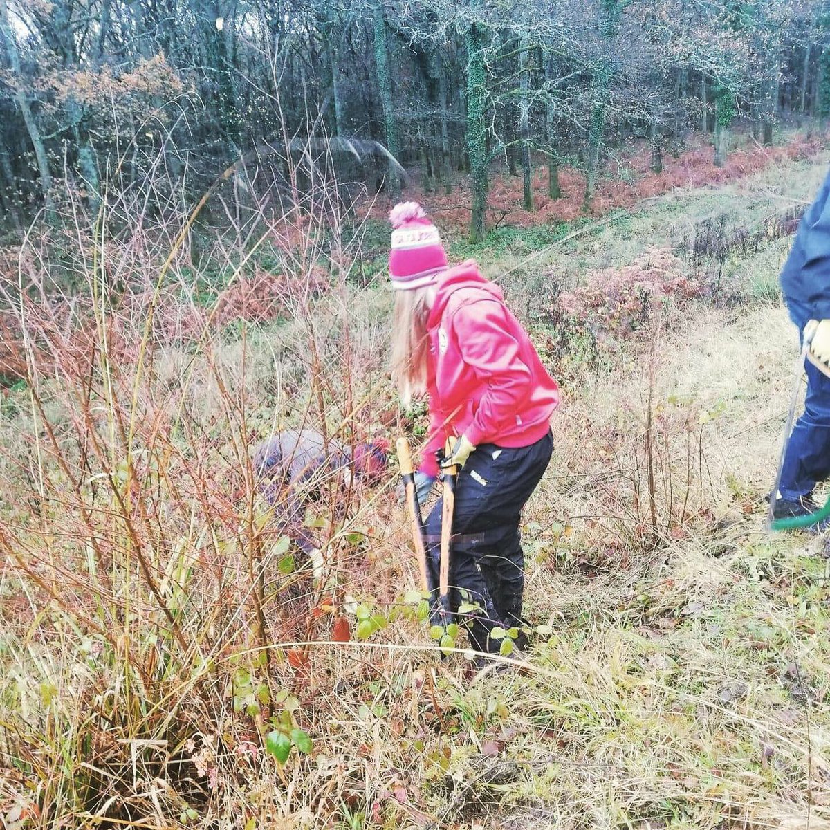#volunteering day today for our #outdoored students <a href="/Gloscol/">Gloucestershire College</a> #cinderfordcampus .. they kept going in the #rain and cold to create a #happy #habitat for #butterflies with <a href="/ForestryEngland/">Forestry England</a> <a href="/ForestofDeanNet/">Forest of Dean</a> <a href="/DeanWyeNews/">ForestWyeReview</a> @DeanWye <a href="/ForestryComm/">Forestry Commission</a> <a href="/Forest_of_Dean/">Forest of Dean</a>