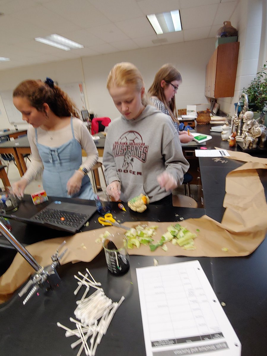 Now it's <a href="/EMHSMustangs/">Eastern Montgomery High School</a> turn to create some brains!  <a href="/MarkMiear/">Mark Miear</a>