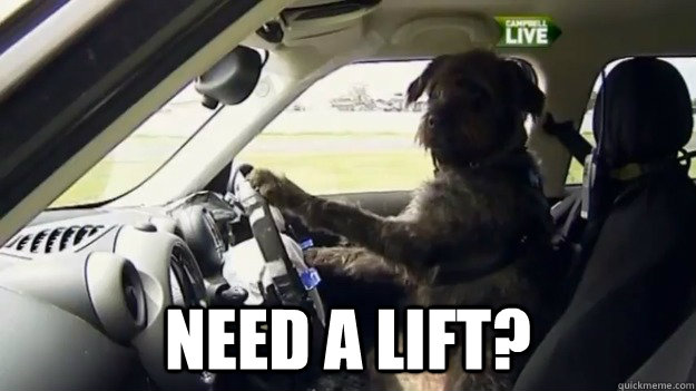 I think my most recent Lyft driver was from the same litter as #FloridaDog - he kept circling the block for hours; the good news is that I only owed him 20 Greenies when he finally let me out.