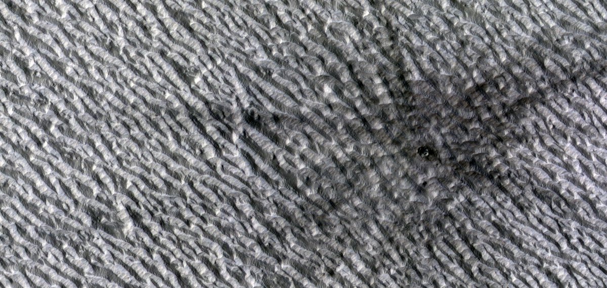 rocdocmars's tweet photo. Here is the another set of images from @WesternU #HiRISE #team340, featuring layering in the rim of a crater, an in-filled crater, and an impact that formed between 2009-2018 on #Mars. Planned by: @epilles and @mars_mapper
#ldnont @westernuSpace https://t.co/totpjQZn4x