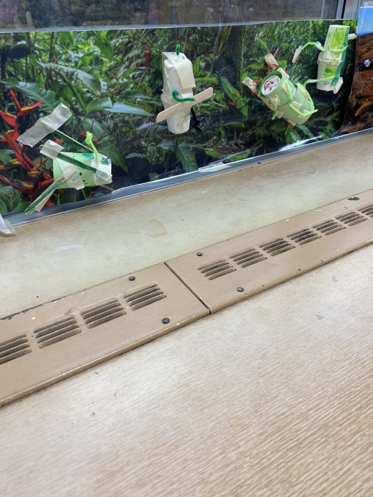 JMiller9958's tweet photo. Flight School Day #2! Amazing day!
@WaverlyParkElem @LynbrookSupt @LynFlightSchool @libratorymeg @teamteichman  #waverlywonders #GiveAHootFor #Designedtosurvive #STEAM https://t.co/g4YY2hxG4C