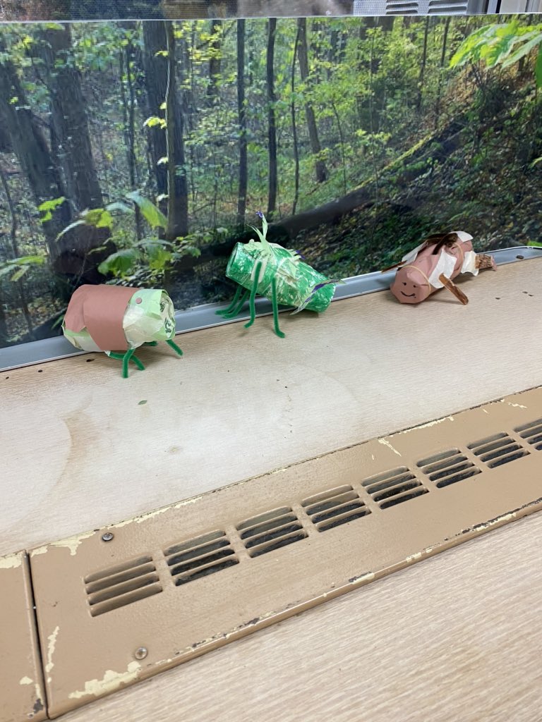 JMiller9958's tweet photo. Flight School Day #2! Amazing day!
@WaverlyParkElem @LynbrookSupt @LynFlightSchool @libratorymeg @teamteichman  #waverlywonders #GiveAHootFor #Designedtosurvive #STEAM https://t.co/g4YY2hxG4C