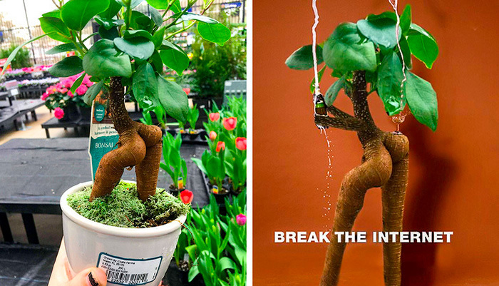 PHOTOSHOP: TUDO pode ser melhorado ou piorado por ele! 

Veja no blog 15 IMAGENS PHOTOSHOPADAS ENGRAÇADAS que certamente farão você rir! 😅

👉 rockntech.com.br/imagens-photos…

#RockNTech #Photoshop