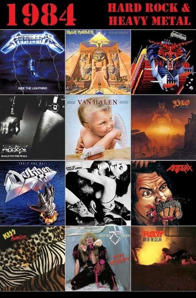 VelociHead tweet media