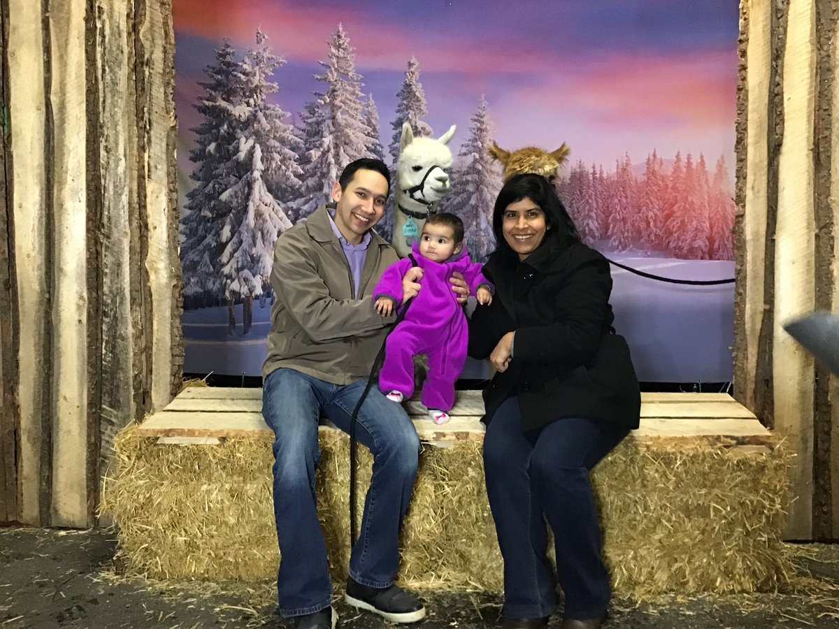 What do you call Alpacas taking over the world?
.
 The Alpacalyps! Join us for Christmas Photos with our Alpacas! (who have no intent of taking over the world. Probably)
.
.
.
#granaryroad #yyc #christmas #christmasmarket #calgaryschild  #calgaryattractions #calgarytourism