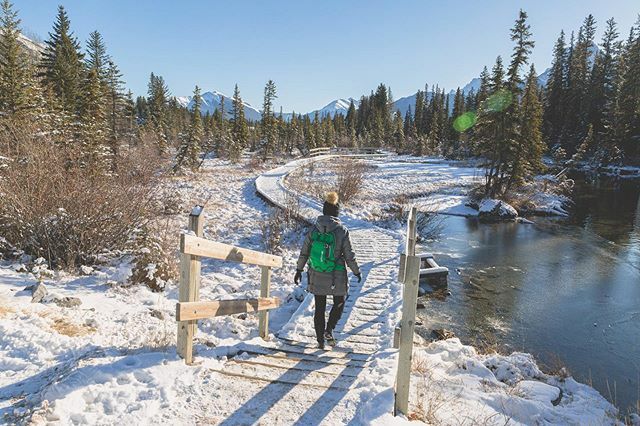 vonderrusch tweet media