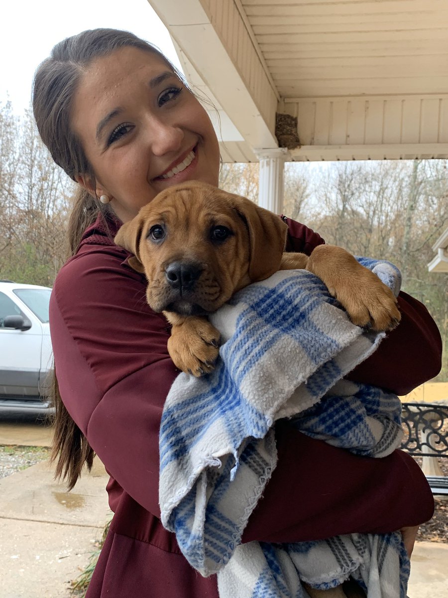 HailStateSpirit's tweet photo. It’s a GREAT day to be a Bulldog...
or any animal for that matter! 

Today we delivered supplies to help the @ochsms prepare for the holiday season! And we got to see some cute kittens and puppies in the process!

#FaMily #HailState https://t.co/kaknlwMtgm
