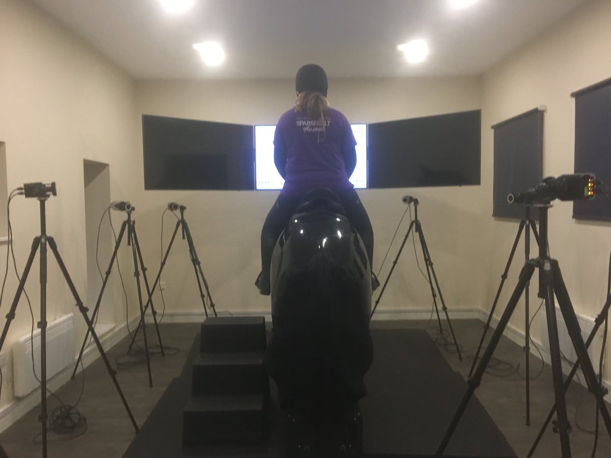ljcequine's tweet photo. Some of our @UC_Sparsholt L5 equine undergrads collecting data for Equitation & Coaching module using our awesome @RacewoodLtd event simulator, our @qualisysab cameras & our @ChildericUK saddles today π getting ready to think about potential dissertations #ucsequine #stemequine https://t.co/k3nb4i6QS3