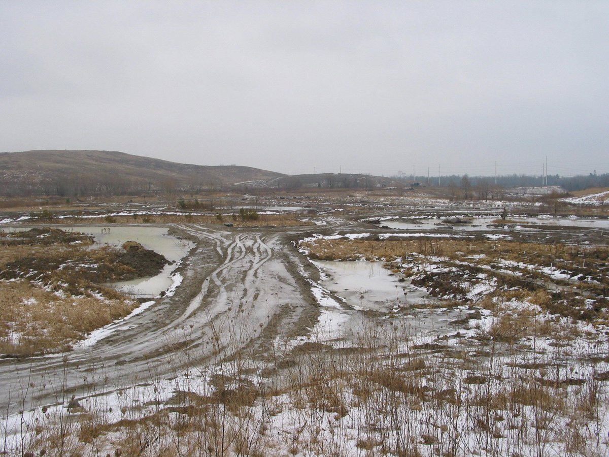 frwatershed's tweet photo. #ThankYou @Fidomobile volunteers for planting 80 native trees and shrubs today with FRW to improve native biodiversity and ecological integrity in the #RougeWatershed!  Volunteers also visited the FRW-restored #BeareWetland - check out the construction shot from 2004❗️ https://t.co/BHzfP7UwnK