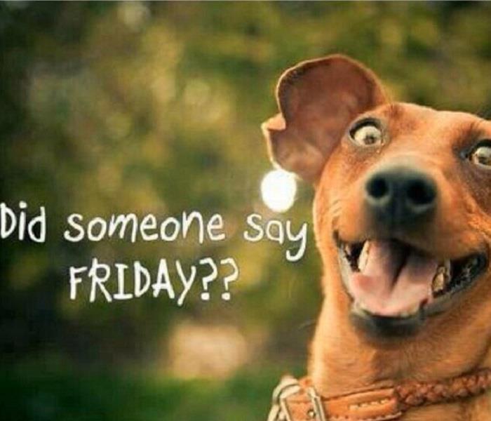 ServProBG2's tweet image. Hope everyone has a great weekend! #TGIF!!