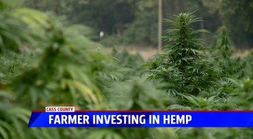 BizHemp's tweet photo. "We’re just a bunch of farmers, trying to reshape and reclaim some of the ag economies we lost over the last 30 years,” Lewis said. "we’re growing a cannabis plant, a federally legal thing. It's compliant and we’re excited to be a part of the community.” https://t.co/zo4tFQI4Zz https://t.co/0bbdB61CwJ