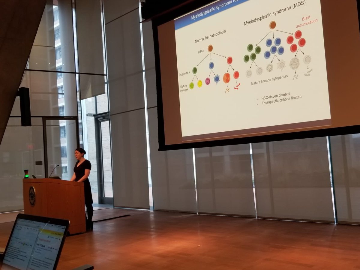 Bowmaniacs_Lab's tweet photo. Dr. Kathy Potts (@postdocpotts) presents her work at Columbia University for the 3rd Northern NYC Hematopoiesis Club! #hematopoiesis #zebrafish #WomenInSTEM #jakstat https://t.co/nmAVNi2FXc