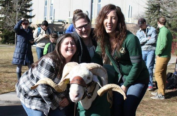 MSBProgram's tweet image. Thinking about #gradschool? #CSU MS-B alumni Jessie Filer has this advice: “I changed what I wanted to do several times throughout graduate school but having a general idea can help you tailor your professional development to your particular interests.” buff.ly/2D1csJW