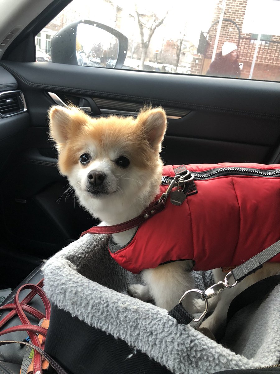 RosieDubz's tweet photo. Starbuck and I are ready to do this! Today is our day! #metdrop @Finkerton @JSchwartzNYC @PhishRadioSXM @SIRIUSXM @themetphilly https://t.co/6NfMzWRPwm