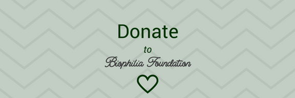 BiophiliaFd's tweet photo. Your contribution during our anniversary month helps us to fund more impactful projects like the ones you are seeing featured this month. Please consider making a donation today.

https://t.co/Uq1SwYCzxw https://t.co/PfTFxyIbMm