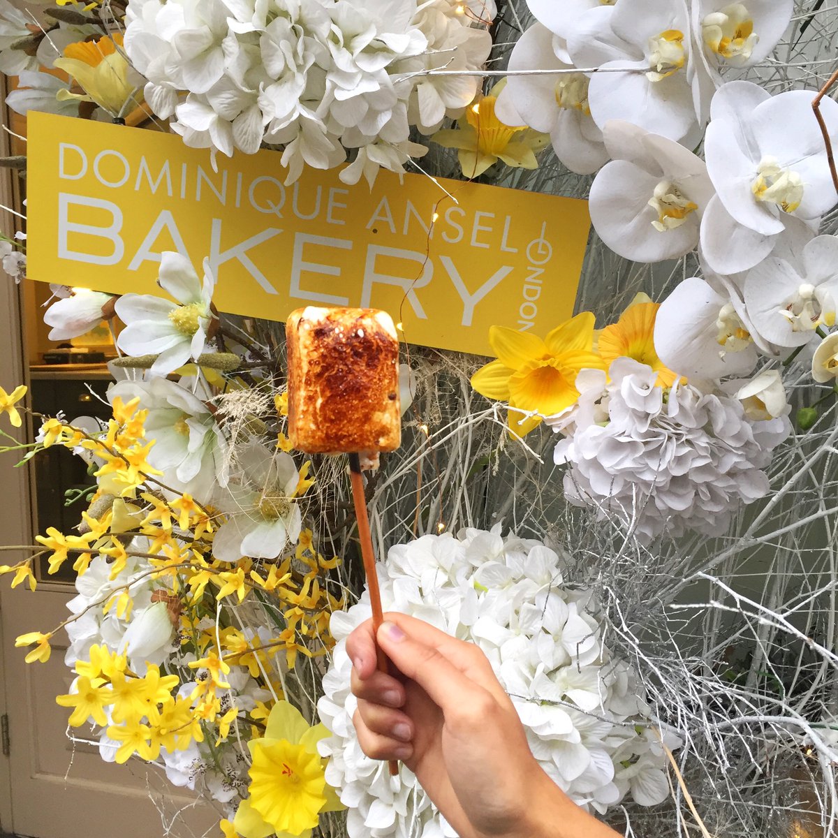 A Frozen S'more for a little sweet pick-me-up treat, made with a center of Tahitian vanilla ice cream surrounded by chocolate wafer crisps and wrapped in fluffy honey marshmallow, torched to order and served up on a smoked willow wood branch.