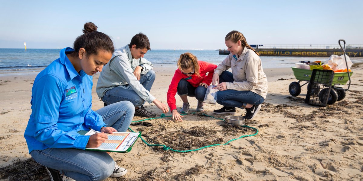 GenStudyAbroad tweet media