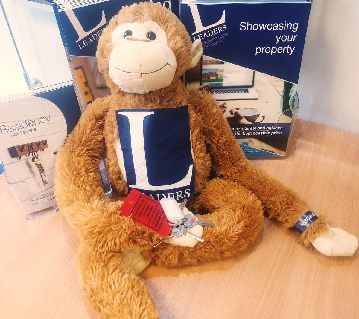 🐵MONTY UPDATE🐵

Monty has been with the Bedford branch and wants to thank Chris at Tolchards for cutting our tenants keys. He is looking forward to handing them over. 

Chris is continuing Goldings legacy so for all your key cutting needs pop in and see him.

#bringMontyhome