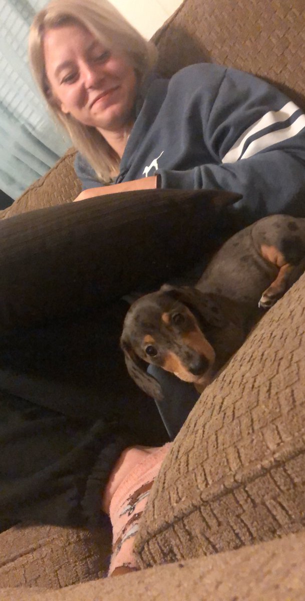 Kevdeezy88's tweet photo. #DAILYDOGGO FEATURING @MRSDEEZY92
GET YOURSELF SOMEONE WHO LOOKS AT YOU LIKE AIMEE LOOKS AT PIPER
#BOOKPIPER https://t.co/mupPNbfJFc