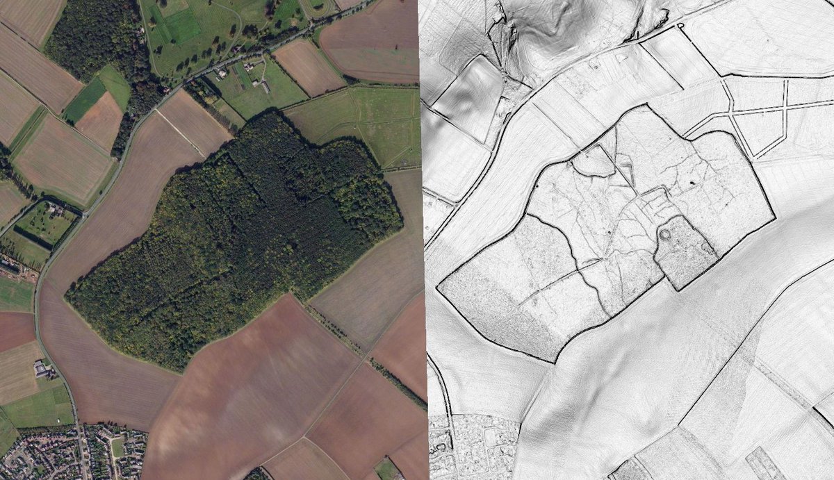 GamArch's 1st #FridayLiDAR offering is of our much cherished local wood here at Gamlingay.

Tramped by the likes of Darwin &amp; the late Oliver Rackham in their day, we now bumble around there investigating stuff. Bing imagery, 1m Defra DTM tile, slope shade in Global Mapper.