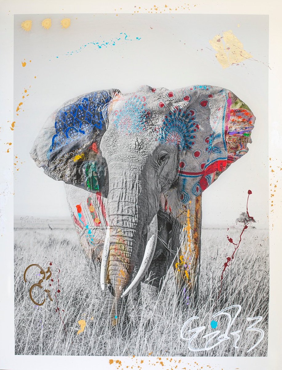 Miami_Art_Scene's tweet photo. .@sagamorehotel presents ‘I Am Not a Trophy’ Exhibition during Miami Art Week --> Wednesday, December 4th at 9pm experience the Opening Reception of “I Am Not a Trophy” #artbaselmiamibeach #sagamoreisart
https://t.co/Jk6m67nLHu https://t.co/JX0HNM2aOA