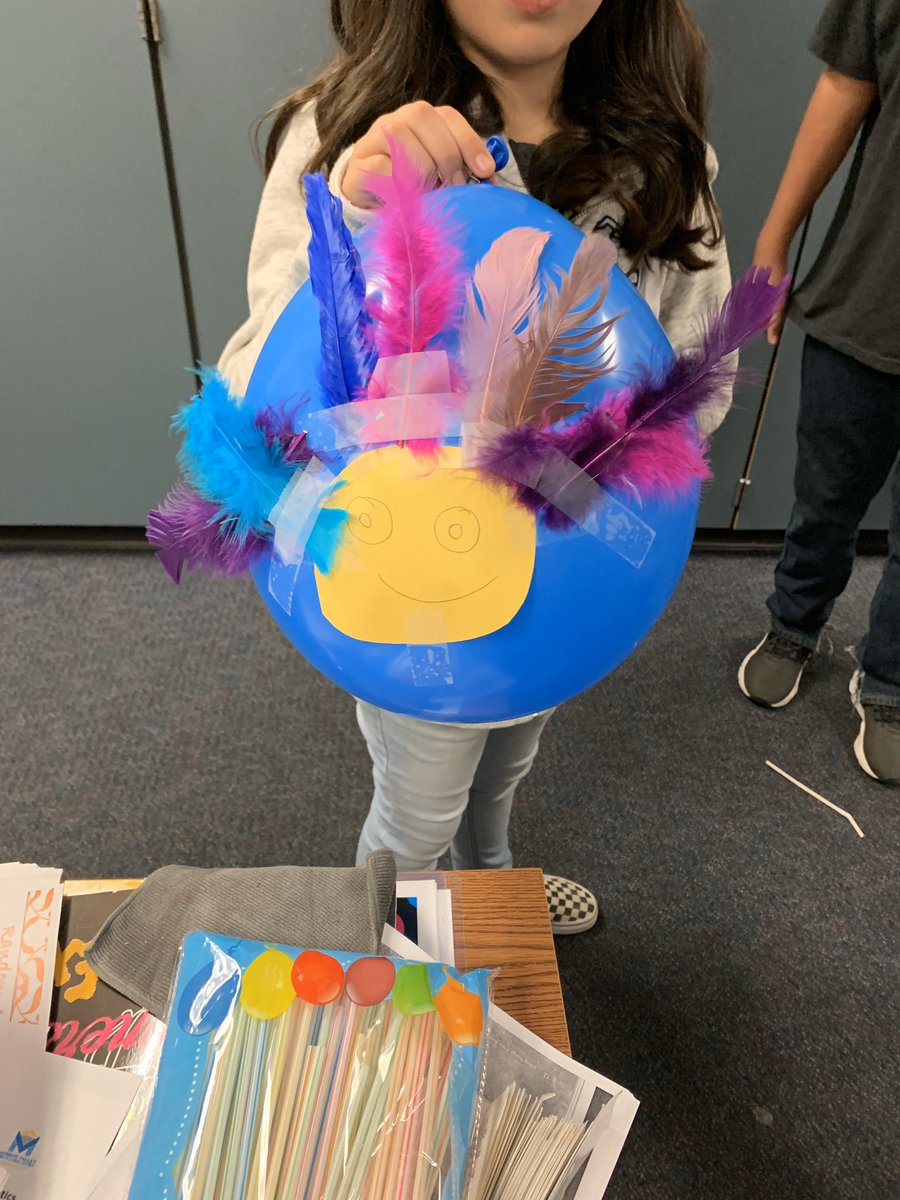RadteacherAvery's tweet photo. Flying turkeys #Radteacher #SMMSMV https://t.co/lqbn5hZwYn
