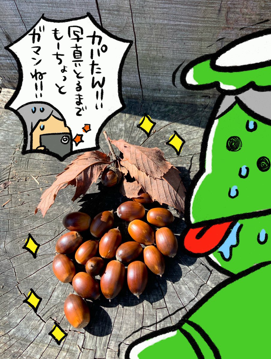 【青森の風景】
見て下さいこのキラキラのドングリ!結構前の写真なのですが、今も数個お部屋に置いてツヤツヤっぷりを楽しんでいます。
#青森の風景 #ポプたんとカパたん 