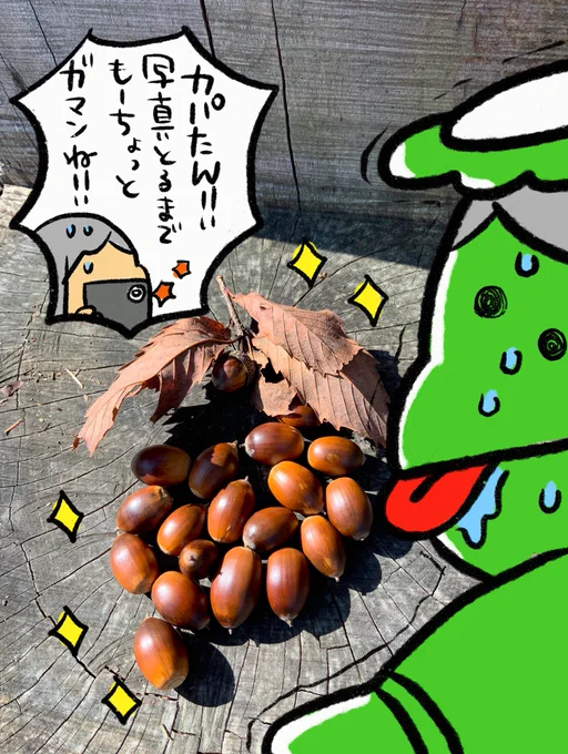 【青森の風景】
見て下さいこのキラキラのドングリ!結構前の写真なのですが、今も数個お部屋に置いてツヤツヤっぷりを楽しんでいます。
#青森の風景 #ポプたんとカパたん 