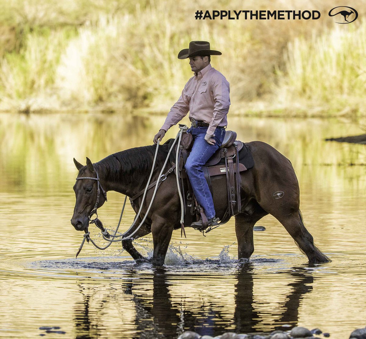 DownunderHorse's tweet photo. A safe, willing partner takes a long time to train. It doesn’t happen overnight or by using quick gimmicks. – Clinton #ApplyTheMethod https://t.co/yDY9d4pEKi