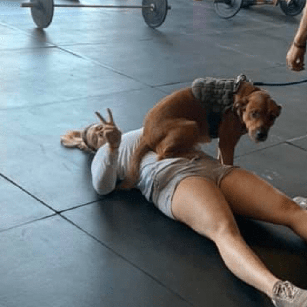 OBCrossFit tweet picture