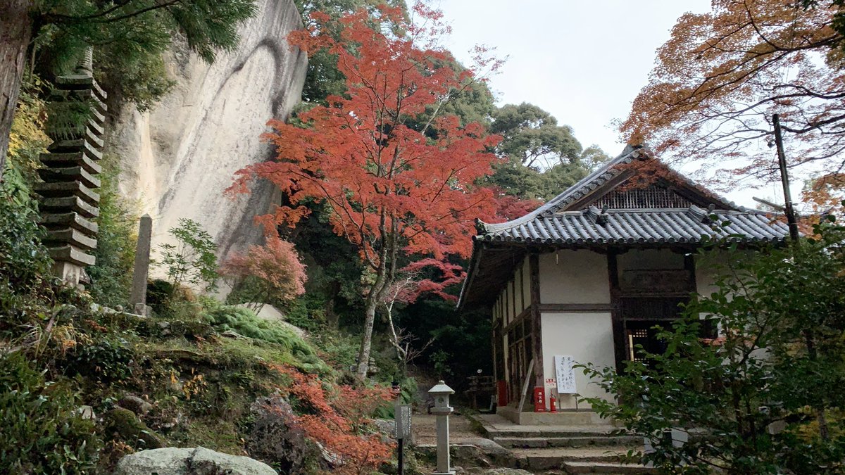 山寺の和尚さん 笠置寺 19紅葉情報 笠置山よりお伝えします 11月23日 昨日の雨は心配していたほどではなく 正月堂周辺のもみじも 本格的な落葉はまだのようです もみじ公園は 色づくもみじと落ち葉の共演 ライトアップも見ごろです 京都 笠置 山寺の和尚さん 笠置寺 19紅葉情報 笠置山よりお伝えします 11月23日 昨日の雨は心配していたほどではなく 正月堂周辺のもみじも 本格的な落葉はまだのようです もみじ公園は 色づくもみじと落ち葉の共演 ライトアップも見ごろです 京都 笠置