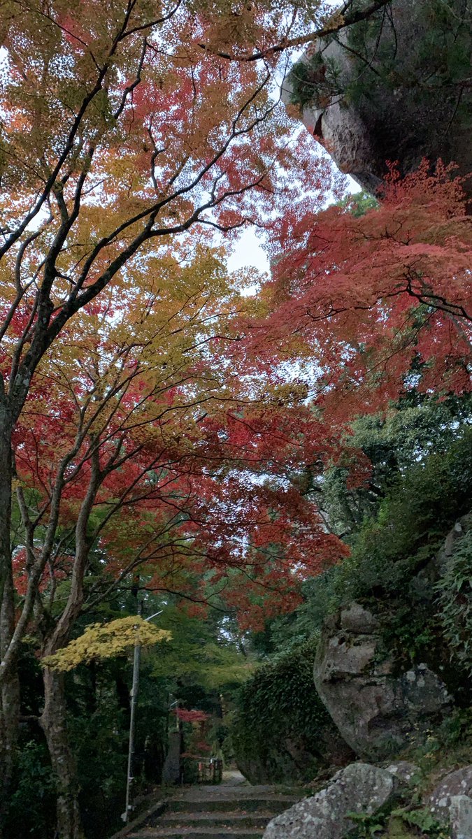 山寺の和尚さん 笠置寺 19紅葉情報 笠置山よりお伝えします 11月23日 昨日の雨は心配していたほどではなく 正月堂周辺のもみじも 本格的な落葉はまだのようです もみじ公園は 色づくもみじと落ち葉の共演 ライトアップも見ごろです 京都 笠置 山寺の和尚さん 笠置寺 19紅葉情報 笠置山よりお伝えします 11月23日 昨日の雨は心配していたほどではなく 正月堂周辺のもみじも 本格的な落葉はまだのようです もみじ公園は 色づくもみじと落ち葉の共演 ライトアップも見ごろです 京都 笠置