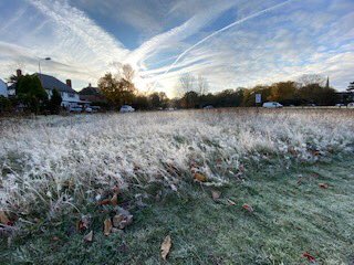 Beautiful autumn scene of the commons adjacent to Heathfield Lane. This is one of the sites that has been left to support the over wintering of insects.
<a href="/ChisCommons/">Chislehurst Commons</a> #winter #autumn #winterinsects