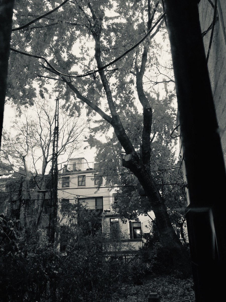 EmilioSegares's tweet photo. Friday 22. 11. 2019 https://t.co/TIXByxtG2E