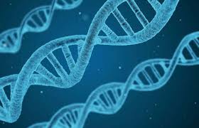 my_dev_child's tweet photo. 📢What are you doing on December 11th 🗓? Sign up for this 💰FREE💰 webinar by one of our very own #geneticcounselors @kylewalterdavis! What a great resource! #GeneticTesting #DNAAnswers #ASOTX #ShineBrightTogether #AutismAwareness 🧩
https://t.co/KiSpYCzubo https://t.co/P39DaDhS5g