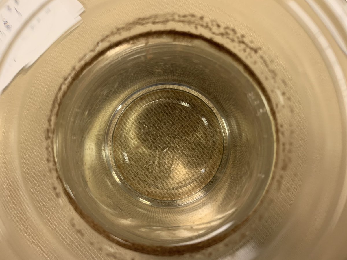 Mark Broughton tweet media