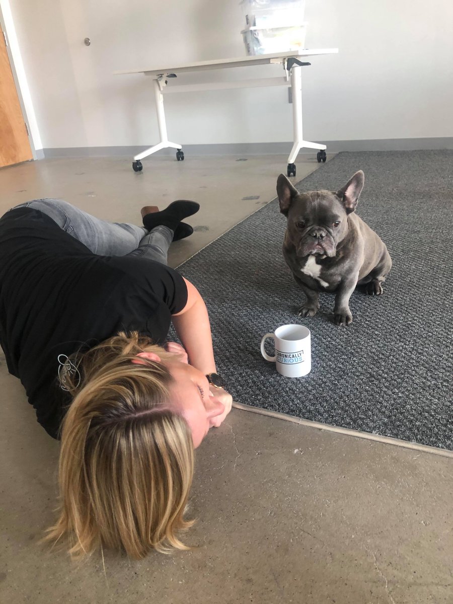 sarahnollwilson's tweet photo. #Friday: hard at work capturing photos for next week's Black Friday Sale. Team #SNoWCo. has zero fun! #dogmodel #chronicallycurious #teamworkmakesthedreamwork https://t.co/2oLtQ8UbF4