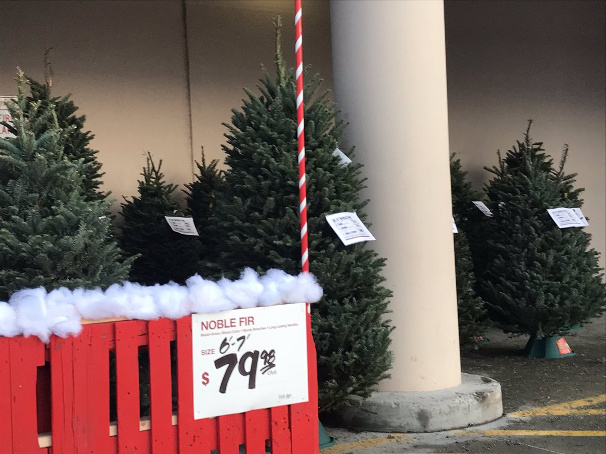 OlivasSherrie's tweet photo. It’s beginning to 👀 a lot like 🎄🎄Christmas in Alaska 🗻 Excitement is in the air! ☃️❄️ Let’s do this!! 🛠🎁 https://t.co/l8WUCVzHxg