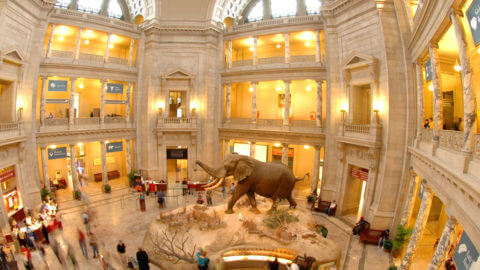 sbmaxeyhouse's tweet photo. #Museum30 today's theme is Dream Museum! Today, we get to share a few a favorite museums from around the country. Some of ours- the Museum of Science and Industry and Hull House Museum the Smithsonian Museum of Natural History and the Museum of the Rockies.
#MaxeyHouse #SBMH https://t.co/EsNHt45dS9