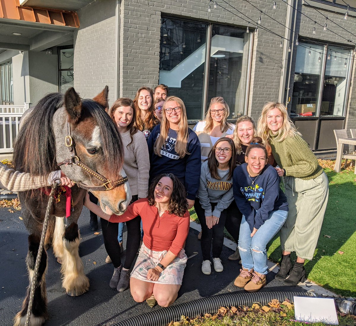 HeyKatieKelly's tweet photo. A horse happened today #bestcoworkersinpa @HappinessFX https://t.co/Y2EqRkEOqH