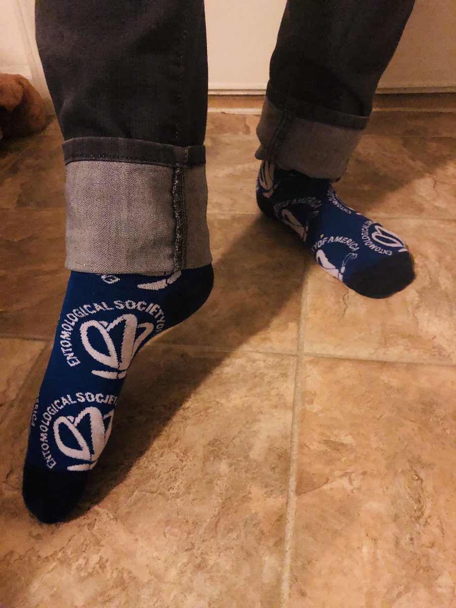Feet wearing blue socks that have entomological Society logos in white. The logos have a white butterfly in the center.