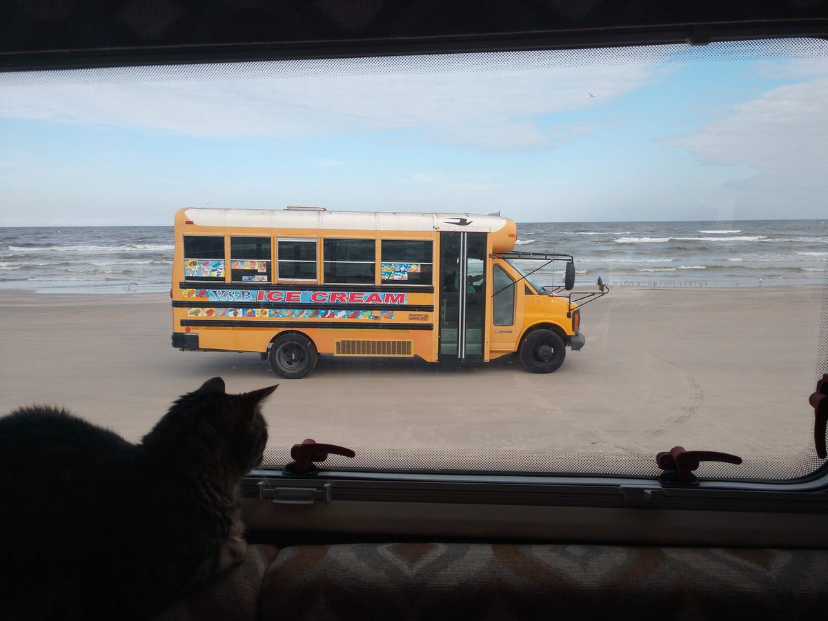 LoneStar950's tweet photo. This one.
She was always a little strange as cats go but we loved her. Our first family cat and she went through alot. She's looking across the Rainbow Bridge now and finding those that have passed before.
#RIPLilah https://t.co/nUWdEVMmms