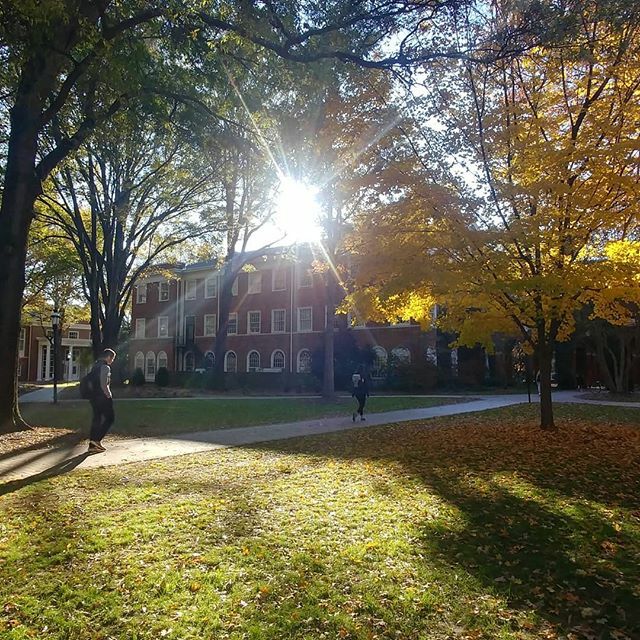 VerveSmith tweet media