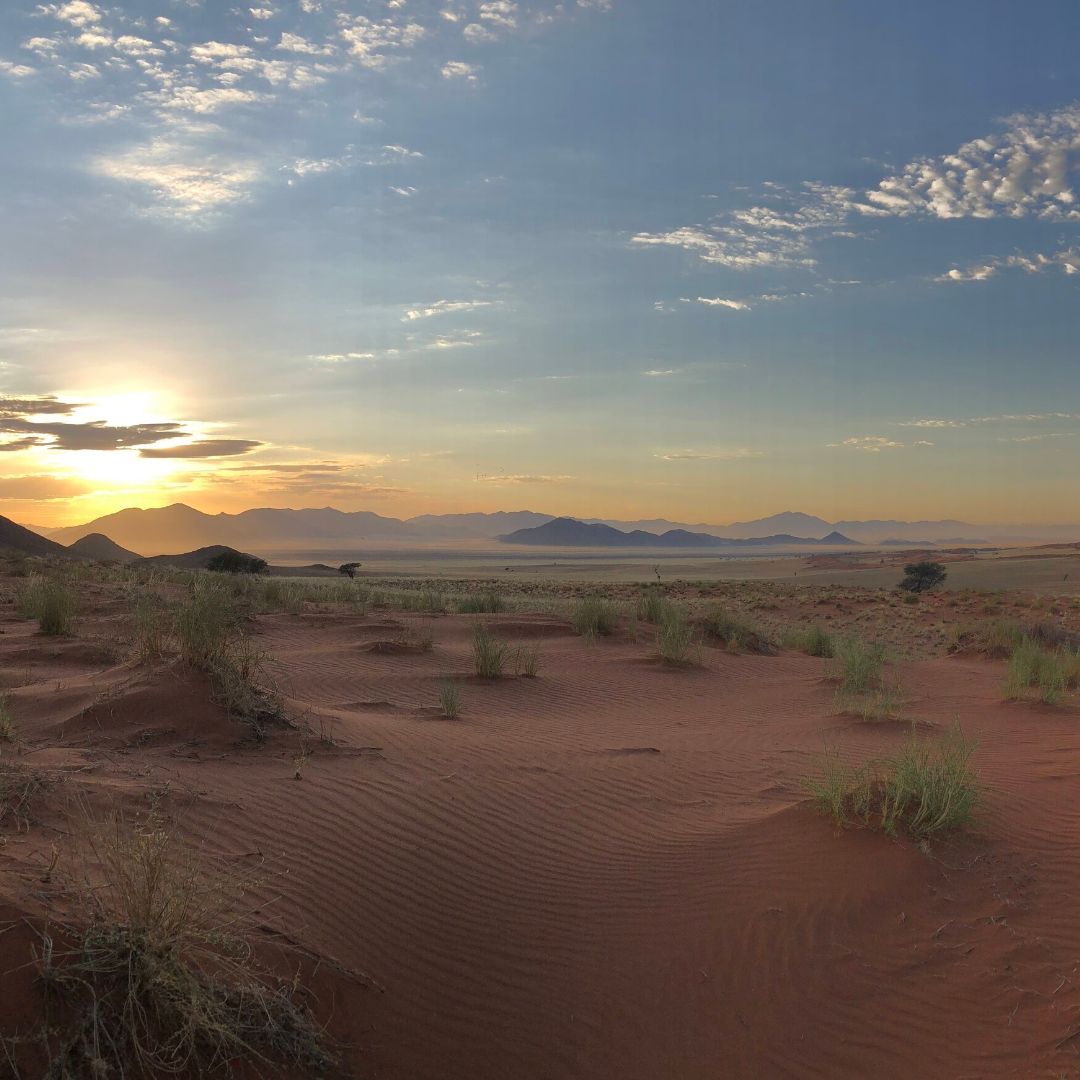Look closely and you can spot all the colours of the rainbow in this one moment before the sunsets​. 

 #OutOfThisWorld #Wolwedans #NamibRand #Namib #NamibDesert #Namibia #Africa #travel #instatravel #traveller #traveler #travelinspo #lux #safari