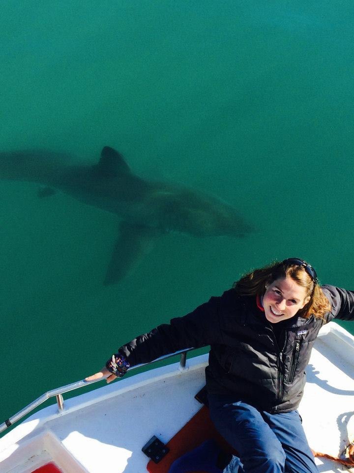 *Queue Jaws music* WATCH OUT  @AGMcInturf THERE’S A SHARK BEHIND YOU! Well, fortunately for this us she’s a shark expert and perfectly safe! Everyone please join me today for this series of  #SciQFriday where we will be discussing all things elasmobranch!  #sciencetwitter