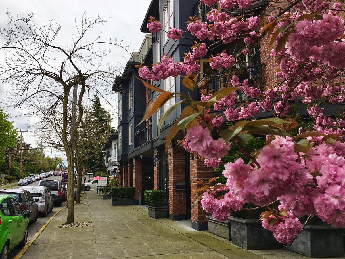 Another cool thing is this tiny commercial area—classic four floors and corner stores—which is also outlawed in most of my neighborhood.