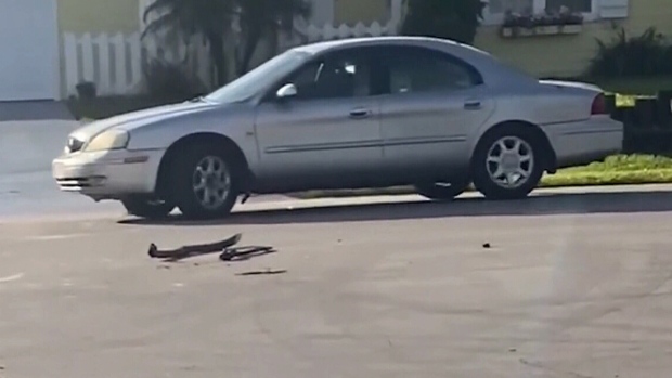 CTVNews's tweet photo. A Florida dog put a car into reverse and drove it in circles for nearly an hour https://t.co/scV0A1h4Xa https://t.co/o8hwi16byD