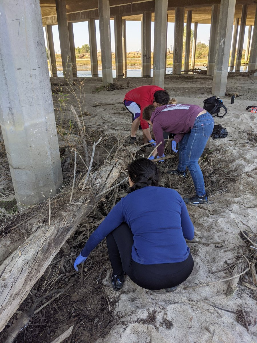 McNeishAqEcoLab's tweet photo. @McNeishAqEcoLab MS student @eco__amy's first field day collecting #Anthropogenic litter &amp; #microplastic data for her research! https://t.co/Li3BTPbis8