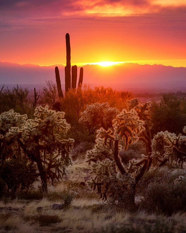 frankvazquez's tweet photo. Arizona Sunsers

#arizona #desert #desertphotography  #sunset #landscapephotography #southwest #igarizona #nikon https://t.co/Uur1T87Css https://t.co/MUekwDcQ9n
